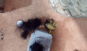 battletech aces campaign